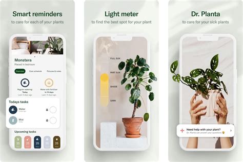 Feb 18, 2024 · Planta knows! Just add them to the app and get notified when it’s time to water, fertilize, mist, repot, and clean (yes, it’s a thing)! - Plant identification: Take a photo of your plant and find out everything you need! If you aren’t sure what plant you have, just take a picture of it and Planta will instantly let you know. 